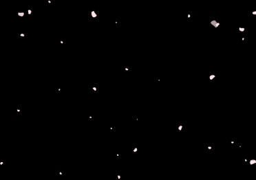 ⁘ Petal Particles