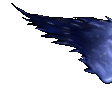 Envinae
