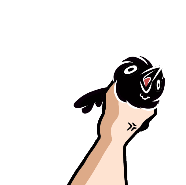 Blackbird